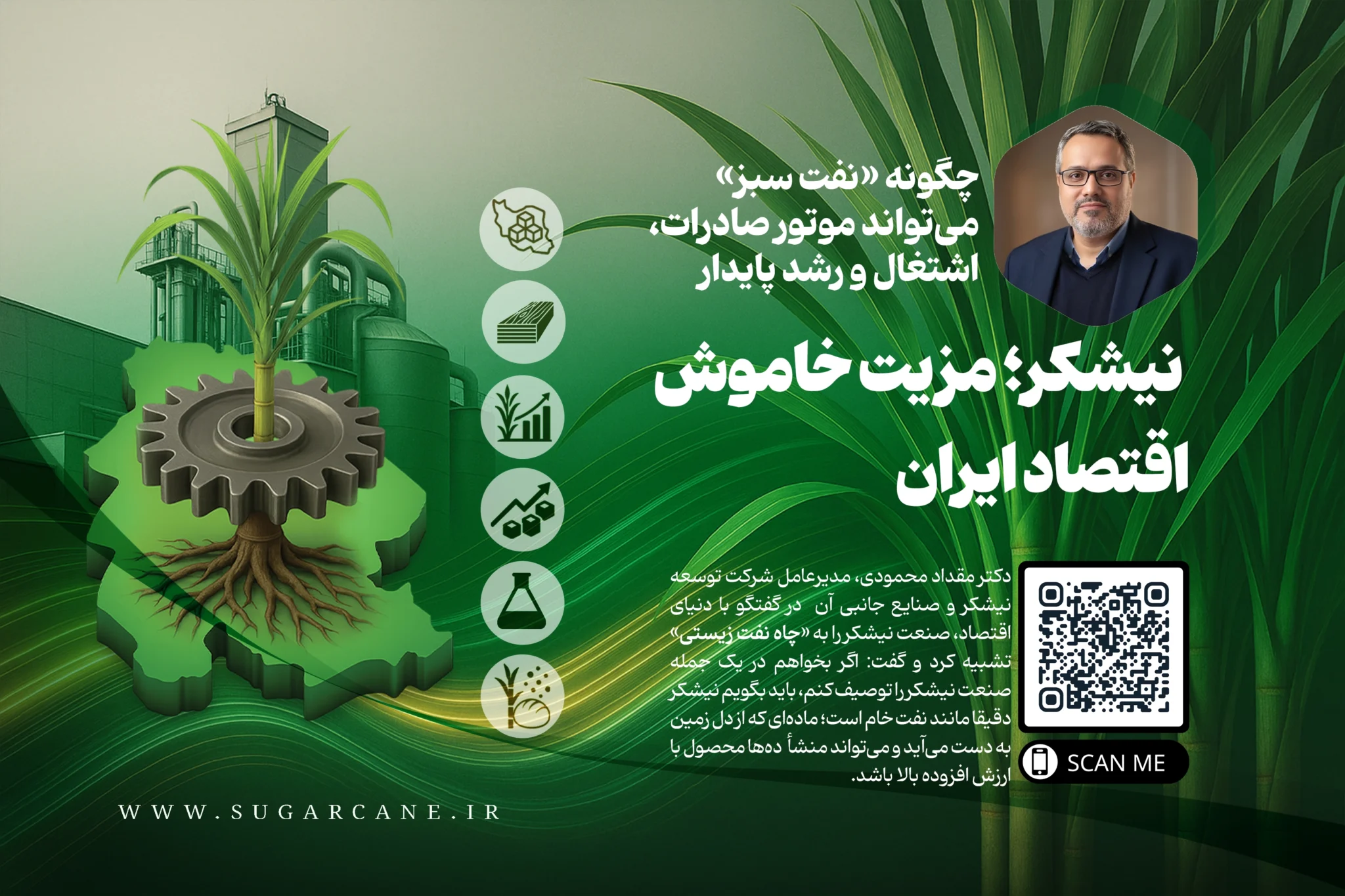 نیشکر؛ مزیت خاموش اقتصاد ایران