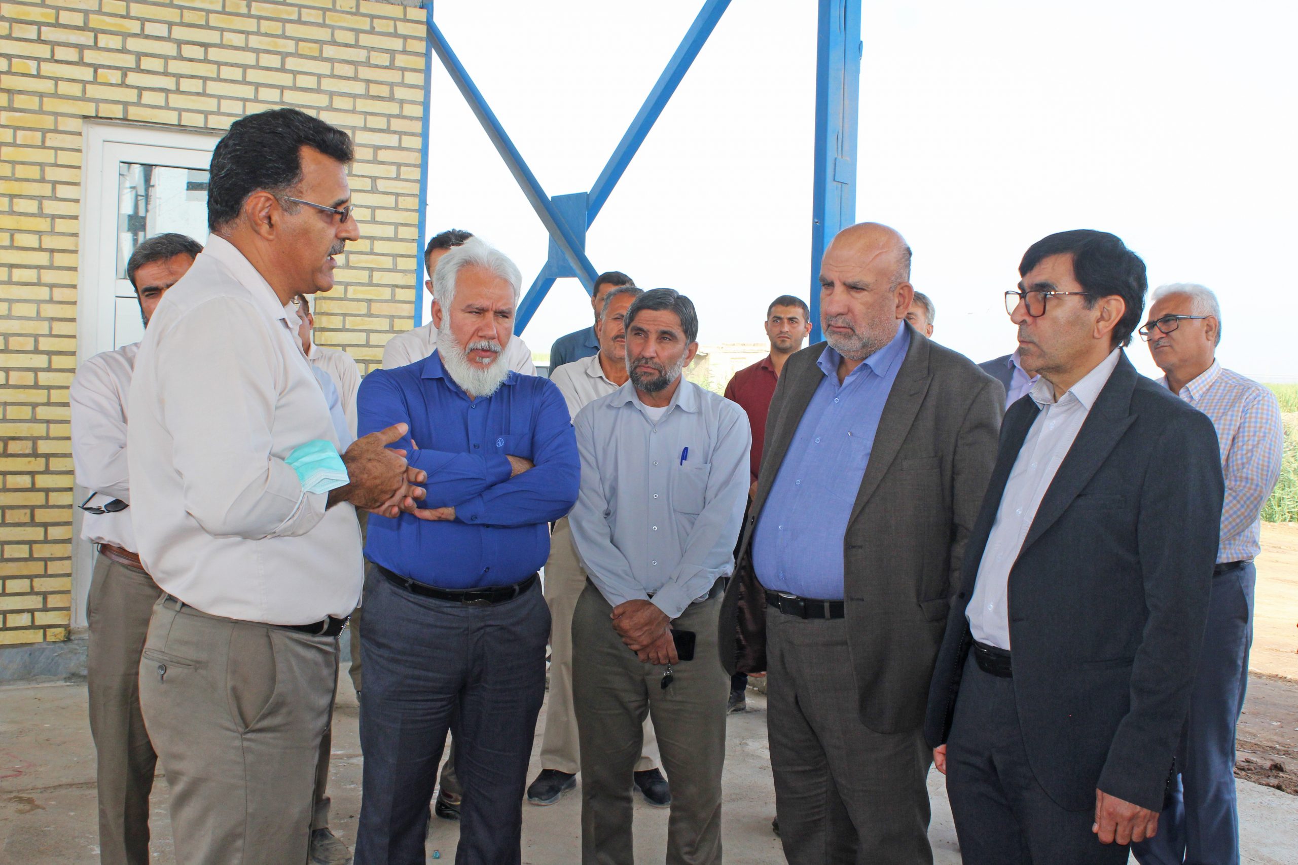 بازدید معاون محترم  وزیر جهاد کشاورزی از طرح آبیاری قطره ای زیر سطحی شرکت کشت و صنعت دعبل خزاعی