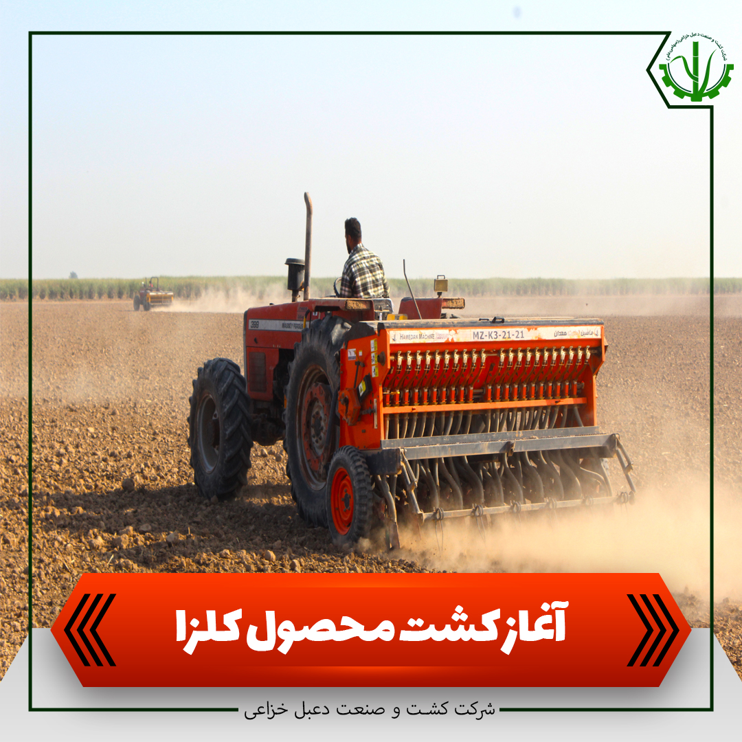 آغاز کشت محصول کلزا در کشت و صنعت دعبل خزاعی
