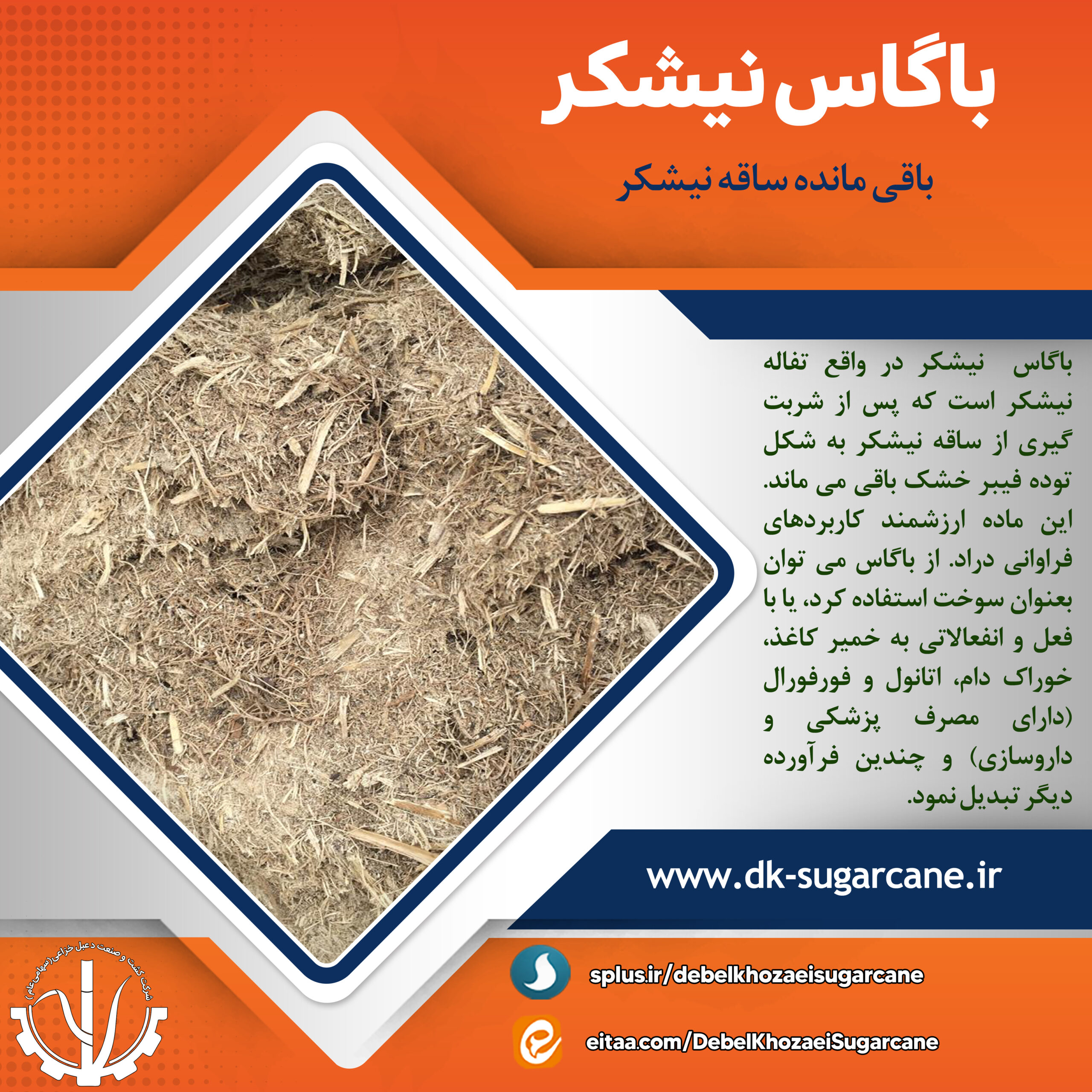 باگاس نیشکر