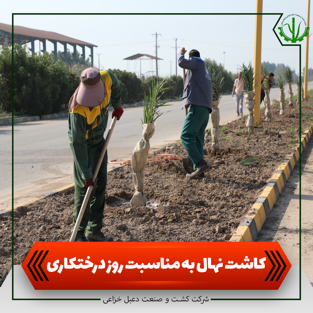 پویش کاشت نهال در شرکت کشت و صنعت دعبل خزاعی به روایت فیلم
