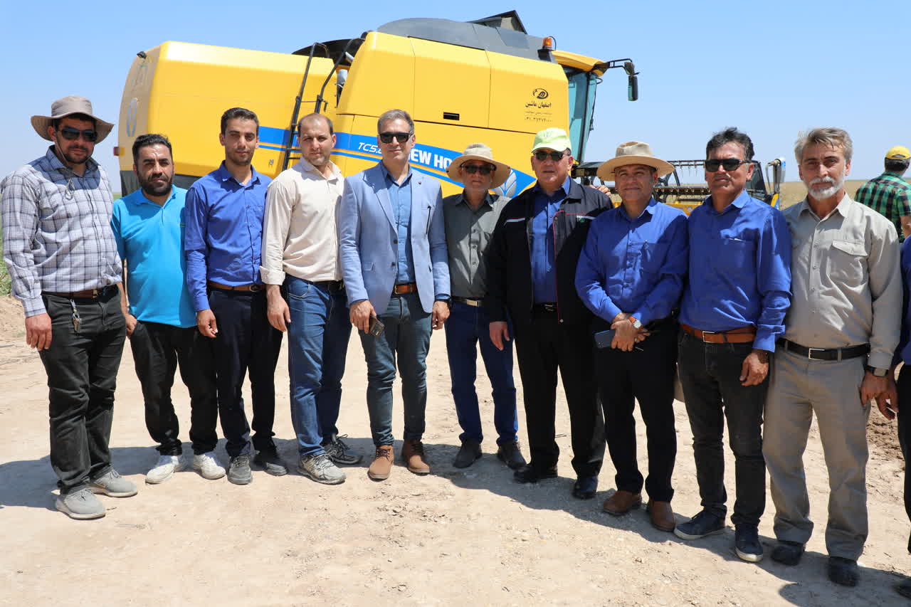 آغاز برداشت دانه های روغنی کلزا در کشت و صنعت دعبل خزاعی