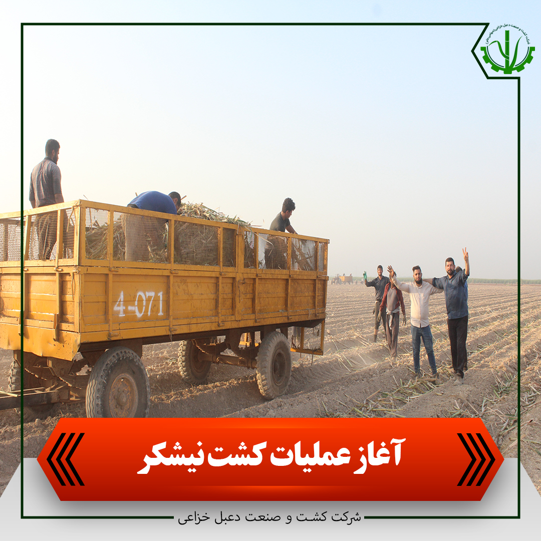 آغاز عملیات کشت نیشکر به روایت فیلم