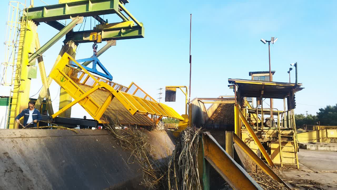 رونمایی از سبد لیلیکو وینچی