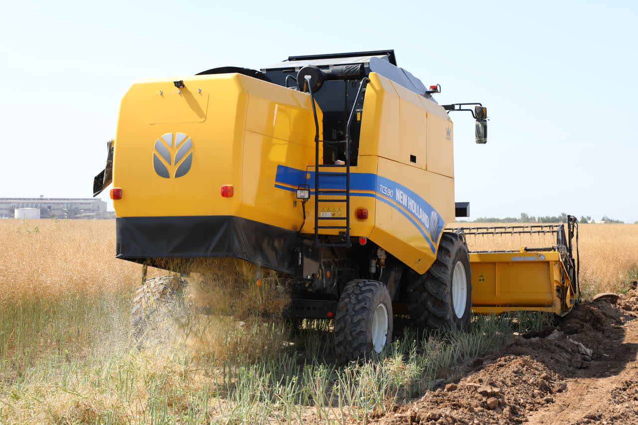 “برداشت دانه های روغنی کلزا از سطح مزارع کشت و صنعت دعبل خزاعی آغاز شد” “برداشت دانه های روغنی کلزا از سطح مزارع کشت و صنعت دعبل خزاعی آغاز شد”