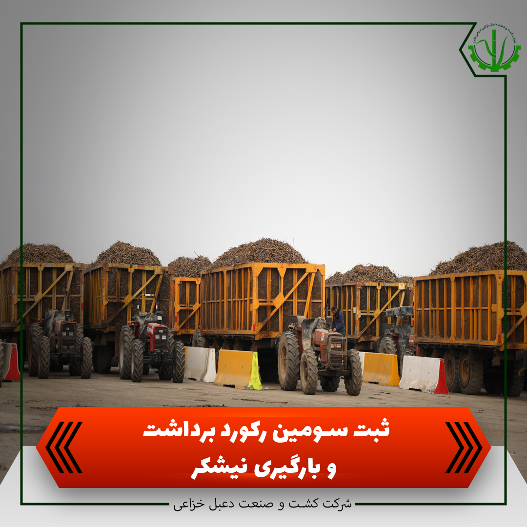 ثبت سومین رکورد برداشت و بارگیری نیشکر ثبت سومین رکورد برداشت و بارگیری نیشکر