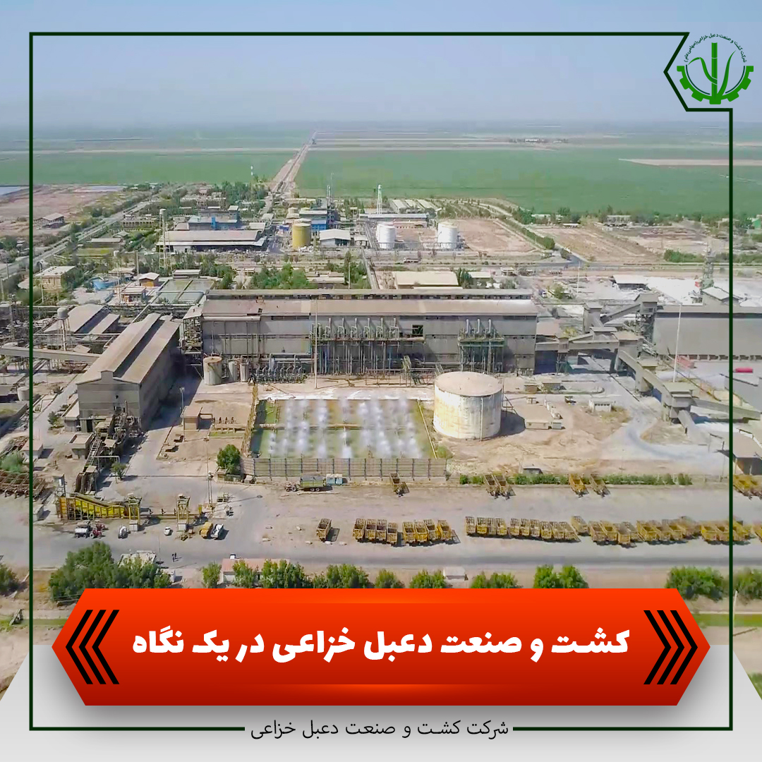 شرکت کشت و صنعت دعبل خزاعی در یک نگاه