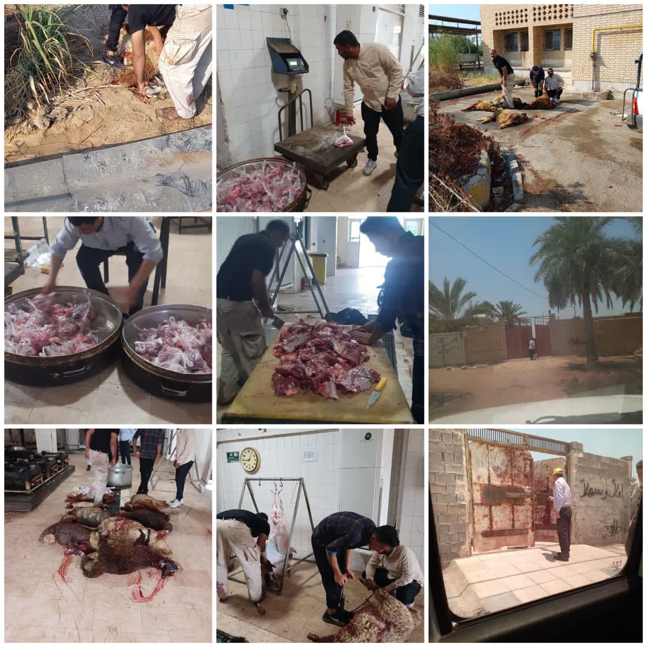 ذبح گوسفند به مناسبت عید قربان در کشت و صنعت دعبل خزاعی