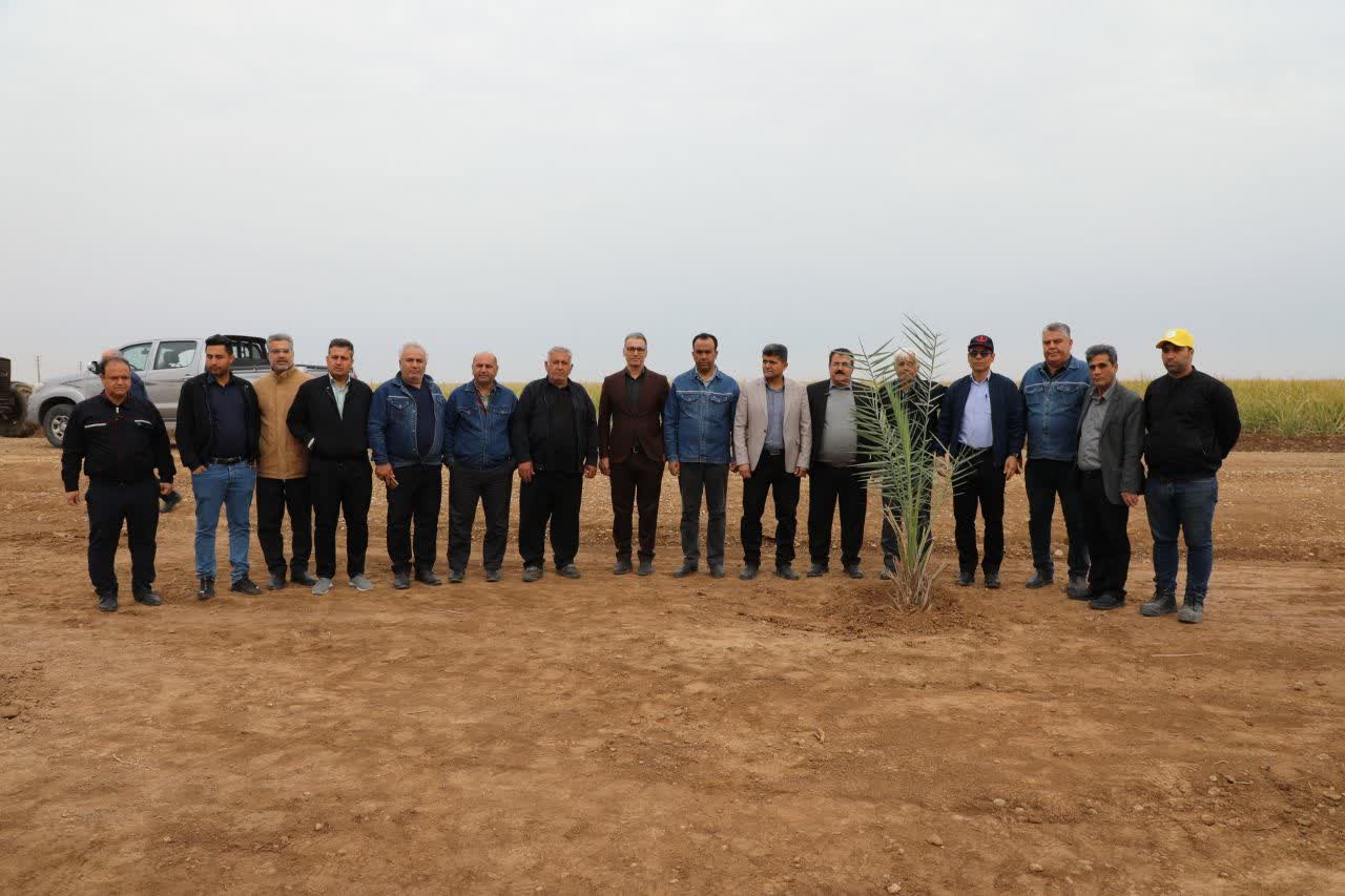 نهال امید در دل زمین؛ آیین درختکاری در مسیر توسعه پایدار نهال امید در دل زمین؛ آیین درختکاری در مسیر توسعه پایدار